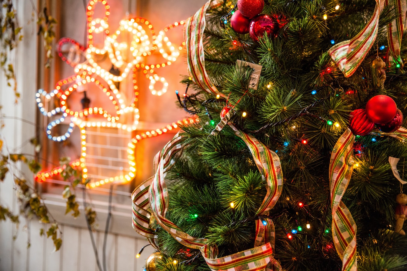 Christmas tree with lightings