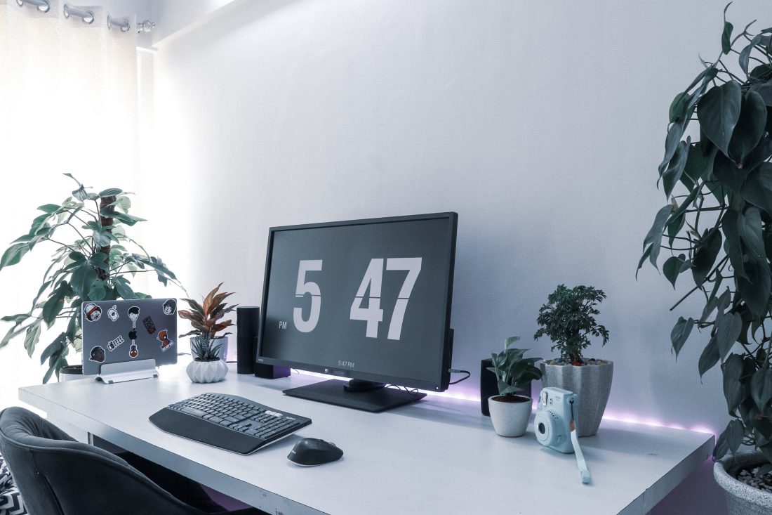 Workstation with plants and clean background