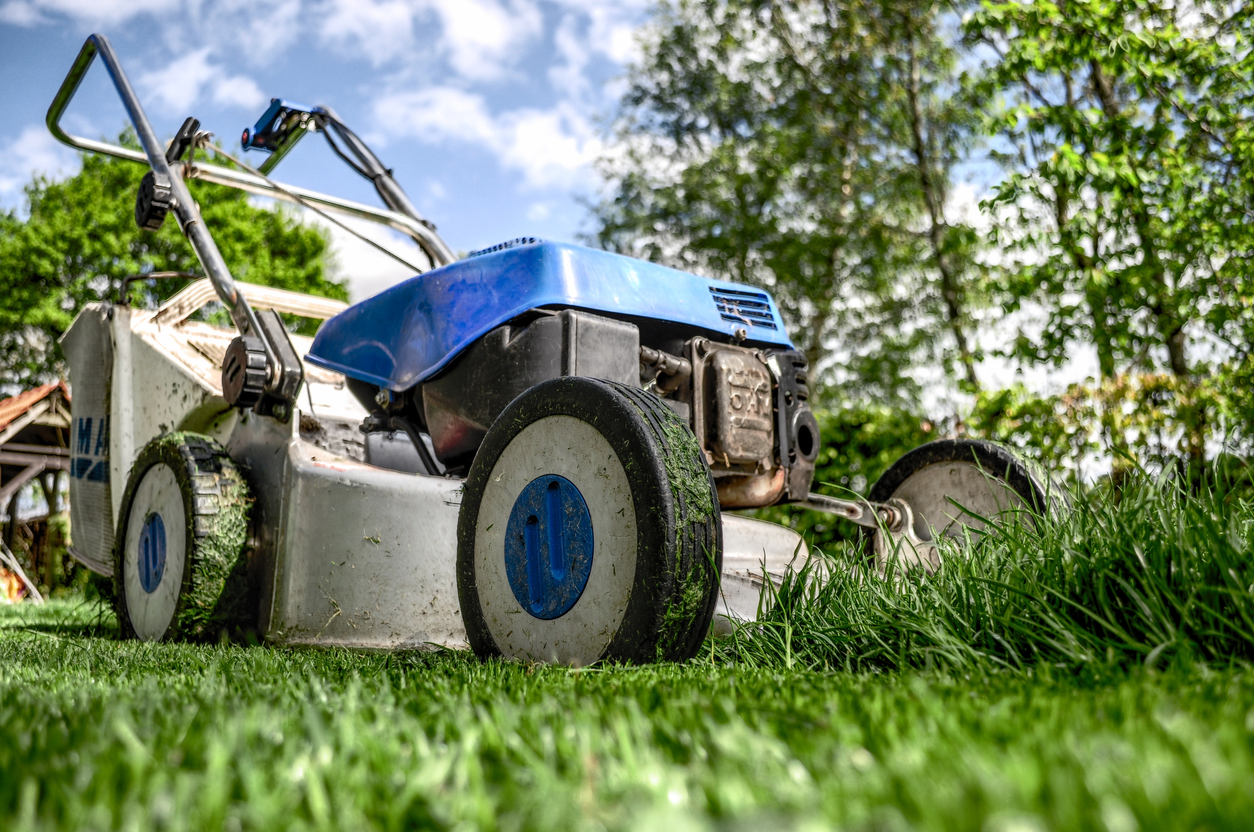 Blue lawn mower on green grass